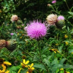 Meet your Posher, Gilberto